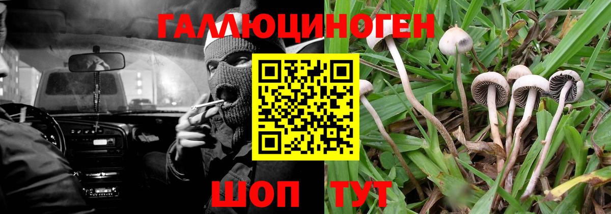 Псилоцибиновые грибы MAGIC MUSHROOMS  Вход с VPN  Рубцовск 